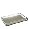 Tizo Lucite Tray In Silver
