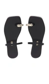 Tkees Colette Toe Loop Sandal In Black
