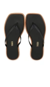 Tkees Dylan Sandal