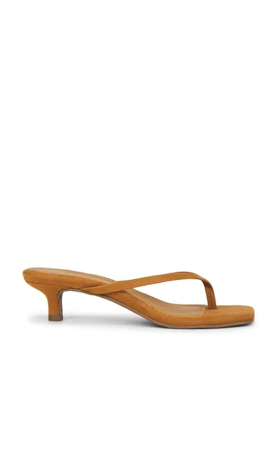 Tkees Julia Square Toe Suede Flip Flop In Brown
