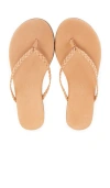 Tkees Lily Braid Sandal In Pout