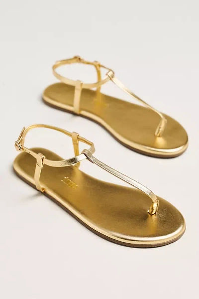 Tkees Mariana Ankle-strap Thongs In Gold