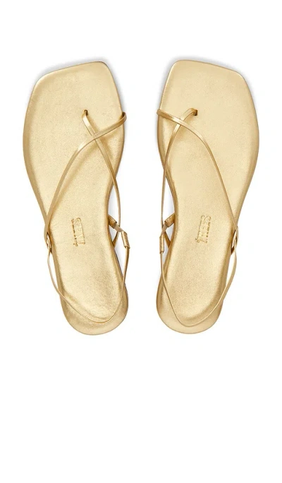 Tkees Millie Sandal In Yellow