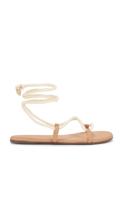 Tkees Petra Sandal In Pout