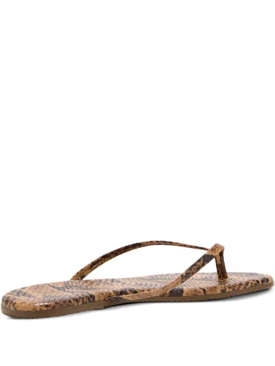 Tkees Snakeskin Thong Sandals In Brown