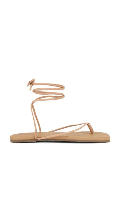 Tkees Square Toe Lilu 凉鞋