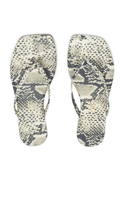 Tkees Square Toe Lily Sandal In Multi