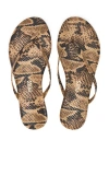 Tkees Studio Exotic Sandal In Coco Snake
