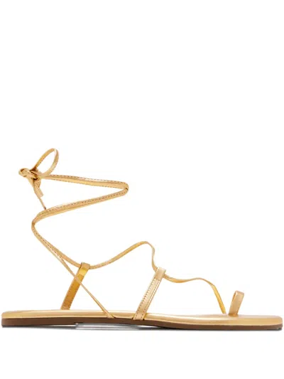 Tkees Toe Strap Tie Sandals In Gold