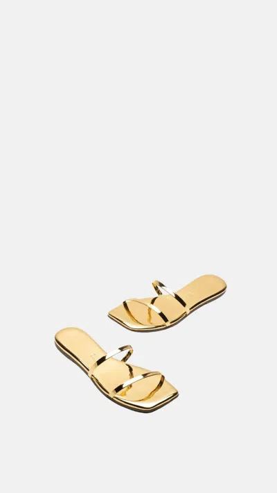 Tkees Women's Gemma Square Toe Mirror Sandal In Gold