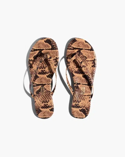 Tkees Women's Lily Vegan Animal Sandal In Coco Snake In Multi