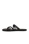 Tkees Women's Sloane Sandals In Black In Black