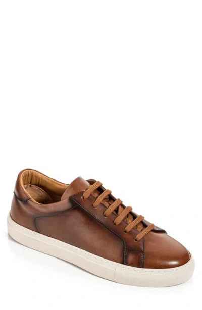 To Boot New York Gavin Leather Low Top Sneaker In Brown