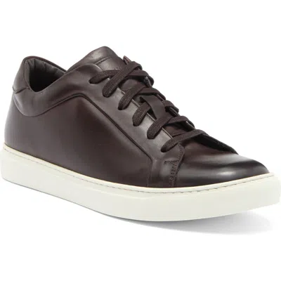 To Boot New York Mesa Low Top Sneaker In Brown