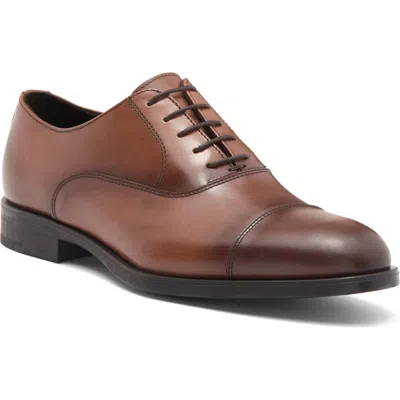 To Boot New York Pienza Cap Toe Oxford In Cognac