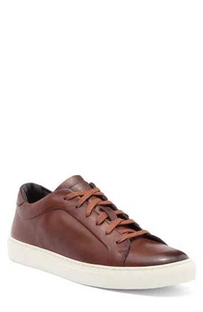 To Boot New York Pullman Sneaker In Cognac