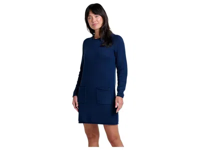 Toad And Co Alpineglo Sweater Dress In Blue