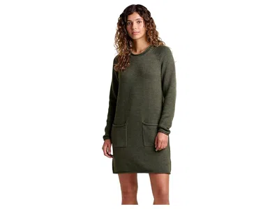 Toad And Co Alpineglo Sweater Dress In Green