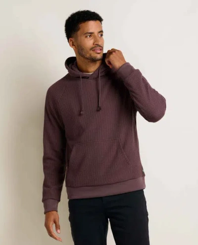 Toad And Co Bitterroot Long Sleeve Hoodie In Brown