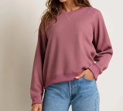 Toad And Co Bitterroot Pullover Sweatshirt In Foxglove In Pink
