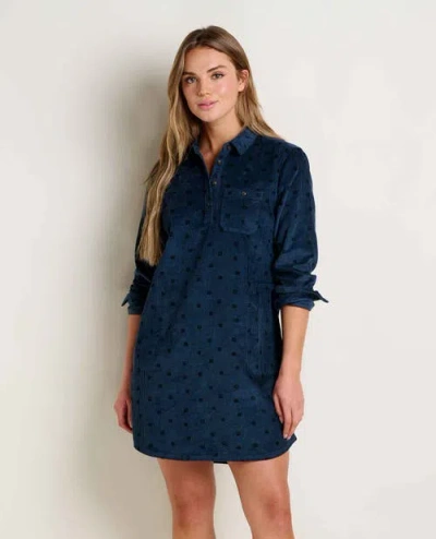 Toad And Co Toad & Co Cascadia Popover Long Sleeve Dress In Blue