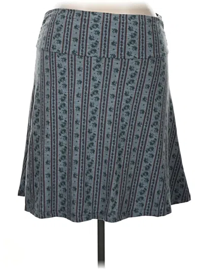 Pre-owned Toad And Co Casual Skirt In Blue