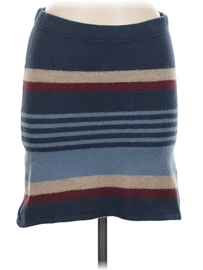 Pre-owned Toad And Co Casual Skirt In Blue