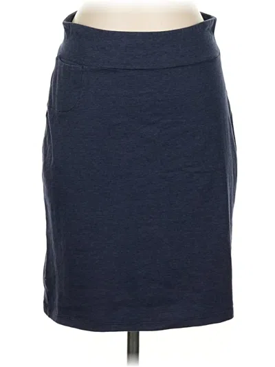 Pre-owned Toad And Co Casual Skirt In Blue