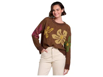 Toad And Co Cotati Dolman Sweater In Brown