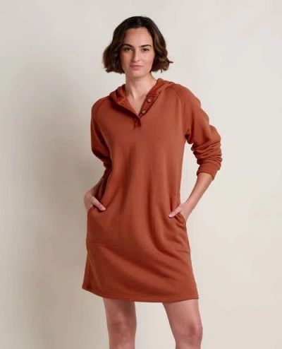 Toad And Co Toad & Co Fernscape Long Sleeve Hooded Dress In Brown