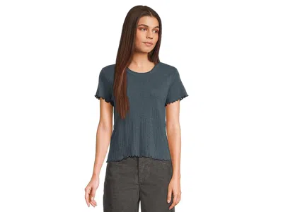 Toad And Co Foothill Pointelle Short Sleeve Baby T-shirts In Gold