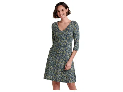 Toad And Co Rosalinda Dress In Blue