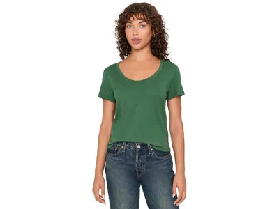 Toad And Co Whisper T-shirts Women's Clothing Pasture: Md, Cotton/modal In Green