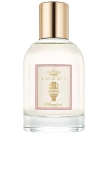 Tocca Cleopatra Olio Sublime Profumato In Musk