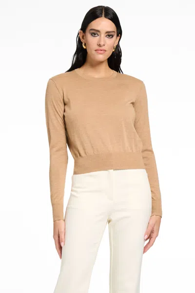 Toccin Benny Classic Crewneck Sweater In Brown