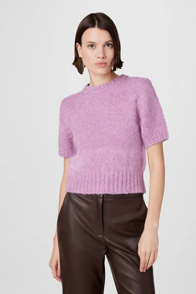 Toccin Carson Short Sleeve Sweater In Purple