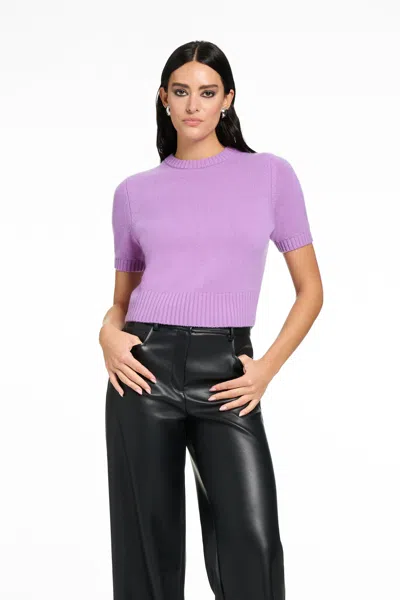 Toccin Elsie Short-sleeve Cropped Sweater In Purple
