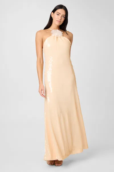 Toccin Monica Halter Gown In Multi