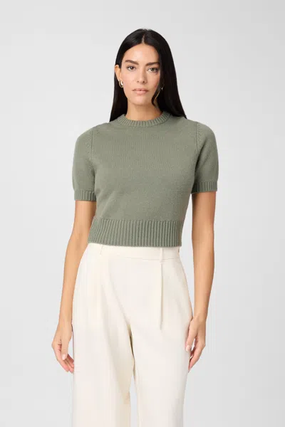 Toccin Pre- Fall Elsie Pullover Sweater In Brown
