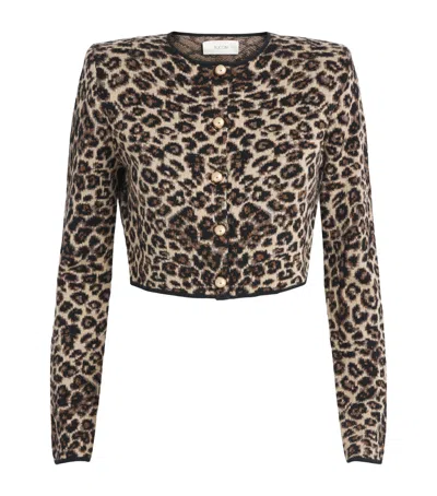 Toccin Wool Cropped Indira Cardigan In Black