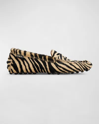 Tod & Apos;s Gommino Calf Hair Penny Driver Loafers In Multi