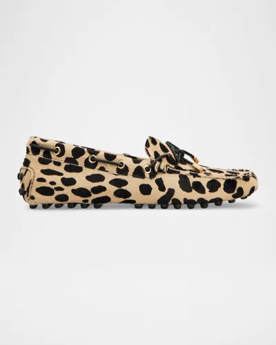 Tod & Apos;s Men & Apos;s Gommino Loafers In Pony Effect Leather In Multi