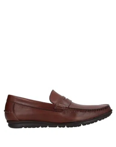 Today By Calpierre Man Loafers Chocolate Brown Size 8.5 Soft Leather