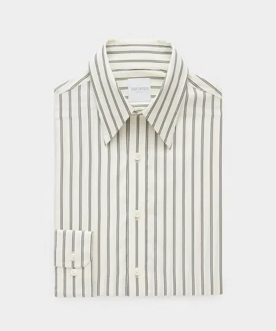 Todd Snyder Cotton Long Point Collar Dress Shirt In Cream In Multi