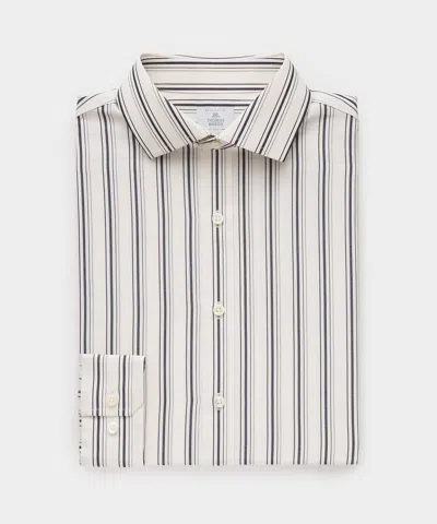 Todd Snyder End-on-end Poplin Dress Shirt In Beige Stripe In Neutral