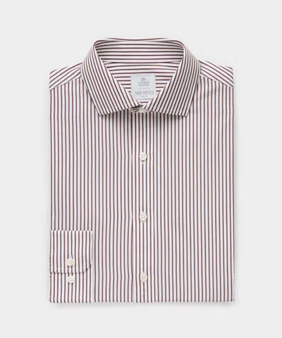 Todd Snyder End-on-end Poplin Dress Shirt In Brown Stripe