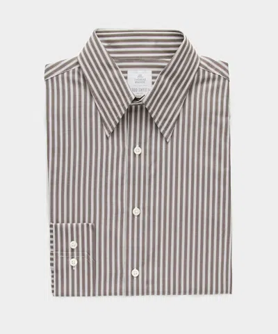 Todd Snyder Men's Poplin Long Point Collar Dress Shirt In Brown, Size 18 In Gray