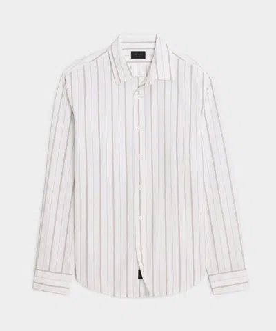 Todd Snyder Poplin Sport Shirt In Ivory Stripe In White