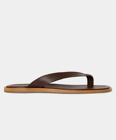 Todd Snyder Porto Leather Thong Sandal In Brown