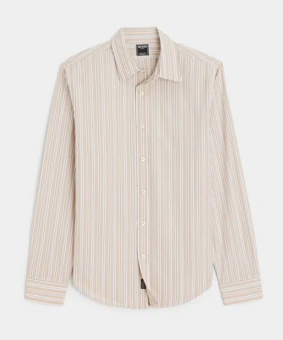 Todd Snyder Slim Fit Cotton Poplin Point Collar Shirt In Neutral